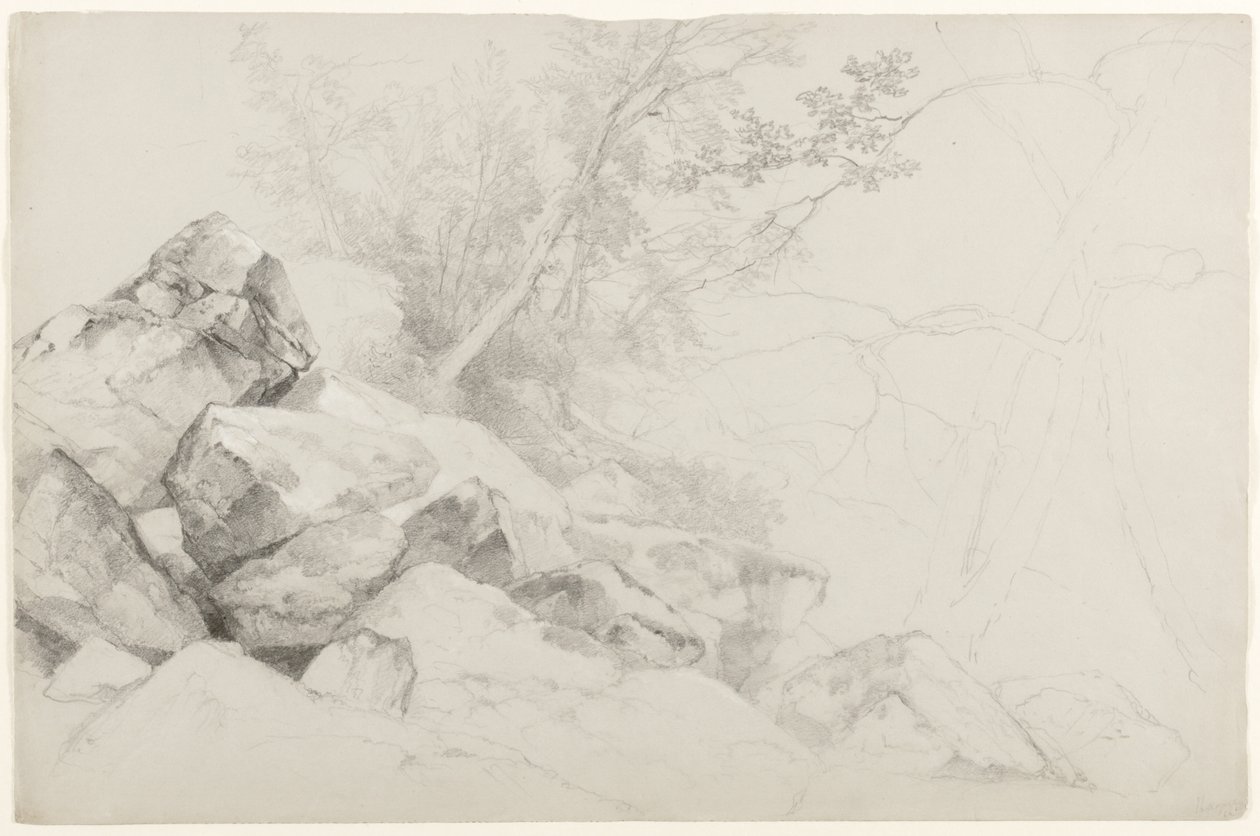 Studie af klipper med træer, Haag, Lake George, New York, 1862 (grafit på gråt papir) af Asher Brown Durand