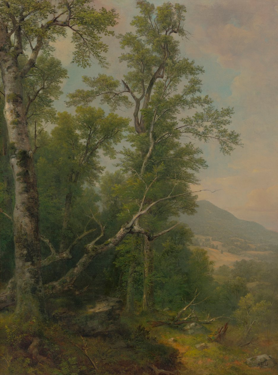 Undersøgelse af træer af Asher Brown Durand