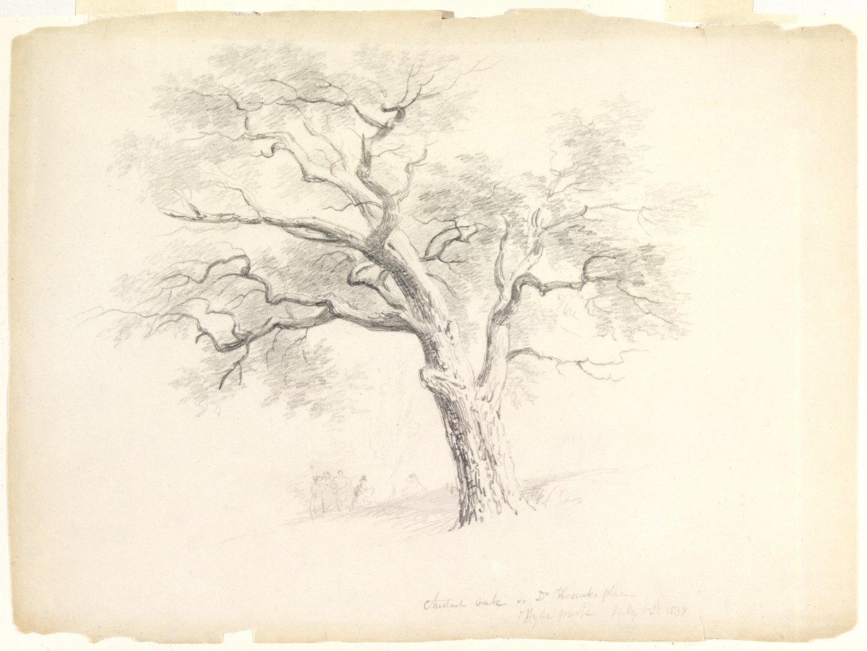 The Chestnut Oak på Hosack Estate, Hyde Park, New York med fem figurer og en kunstnerskitser, 1838 (grafit på papir) af Asher Brown Durand