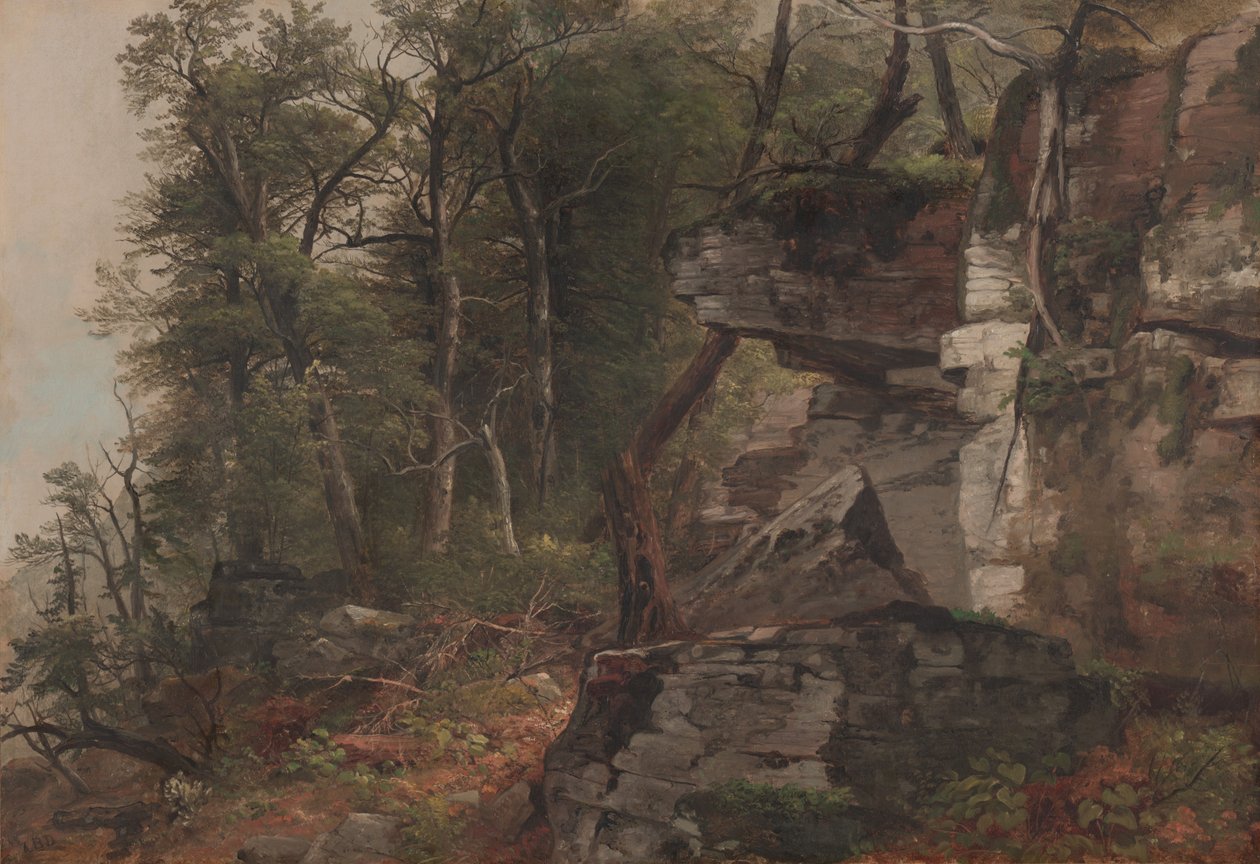 Træer på en klippeskråning, ca. 1849 af Asher Brown Durand
