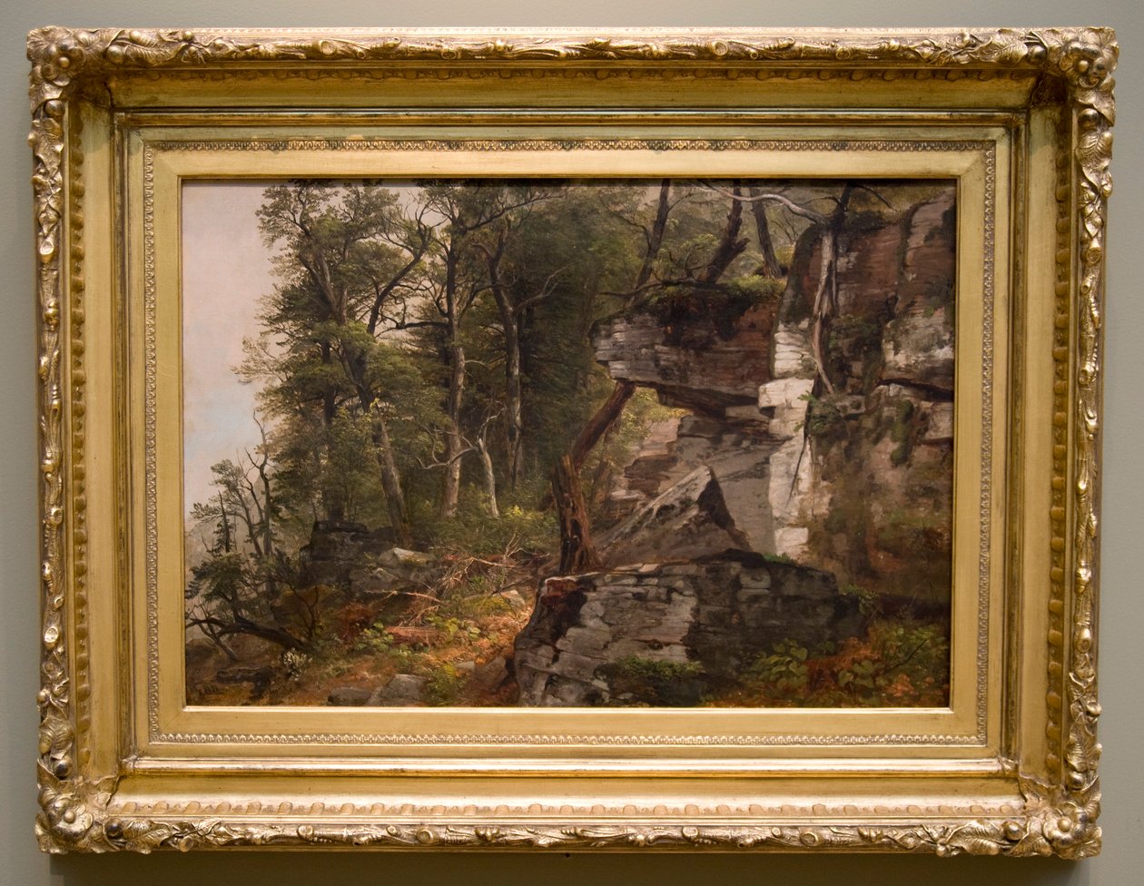 Træer på en klippeskråning, ca. 1849. af Asher Brown Durand