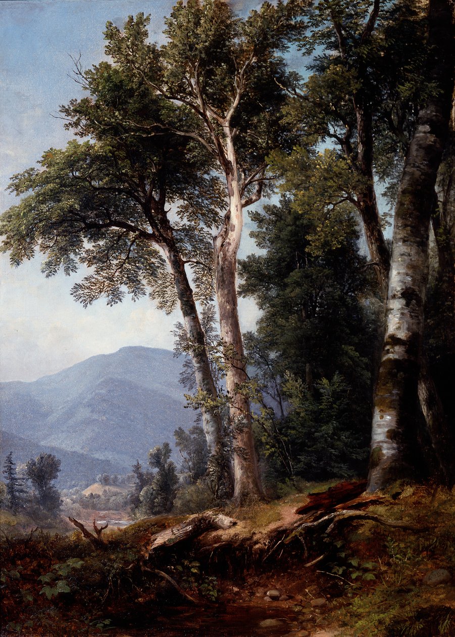 Skovlandskab, ca. 1850 (olie på lærred) af Asher Brown Durand