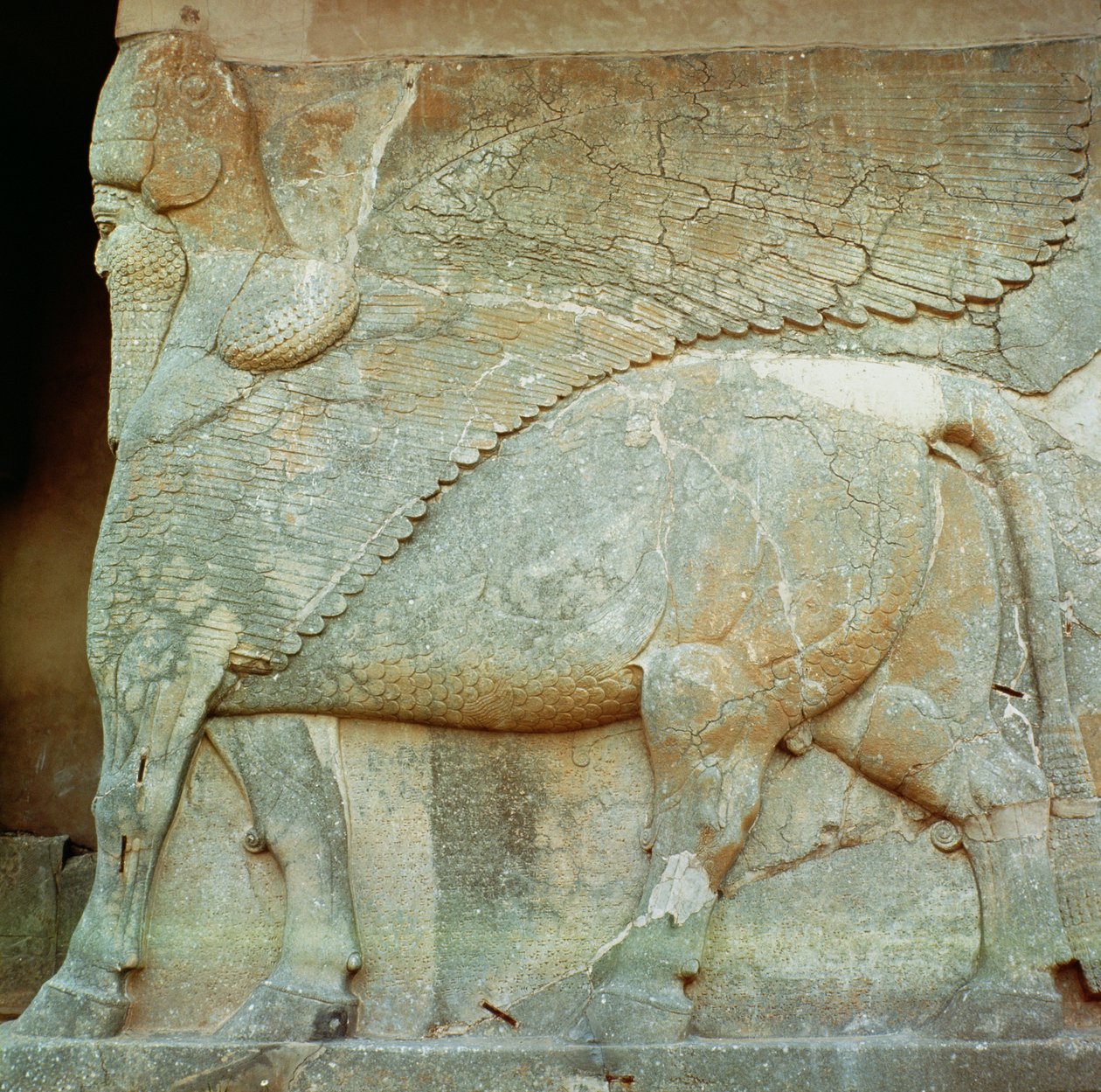 Bas-relief af en antropomorf tyr af Assyrian