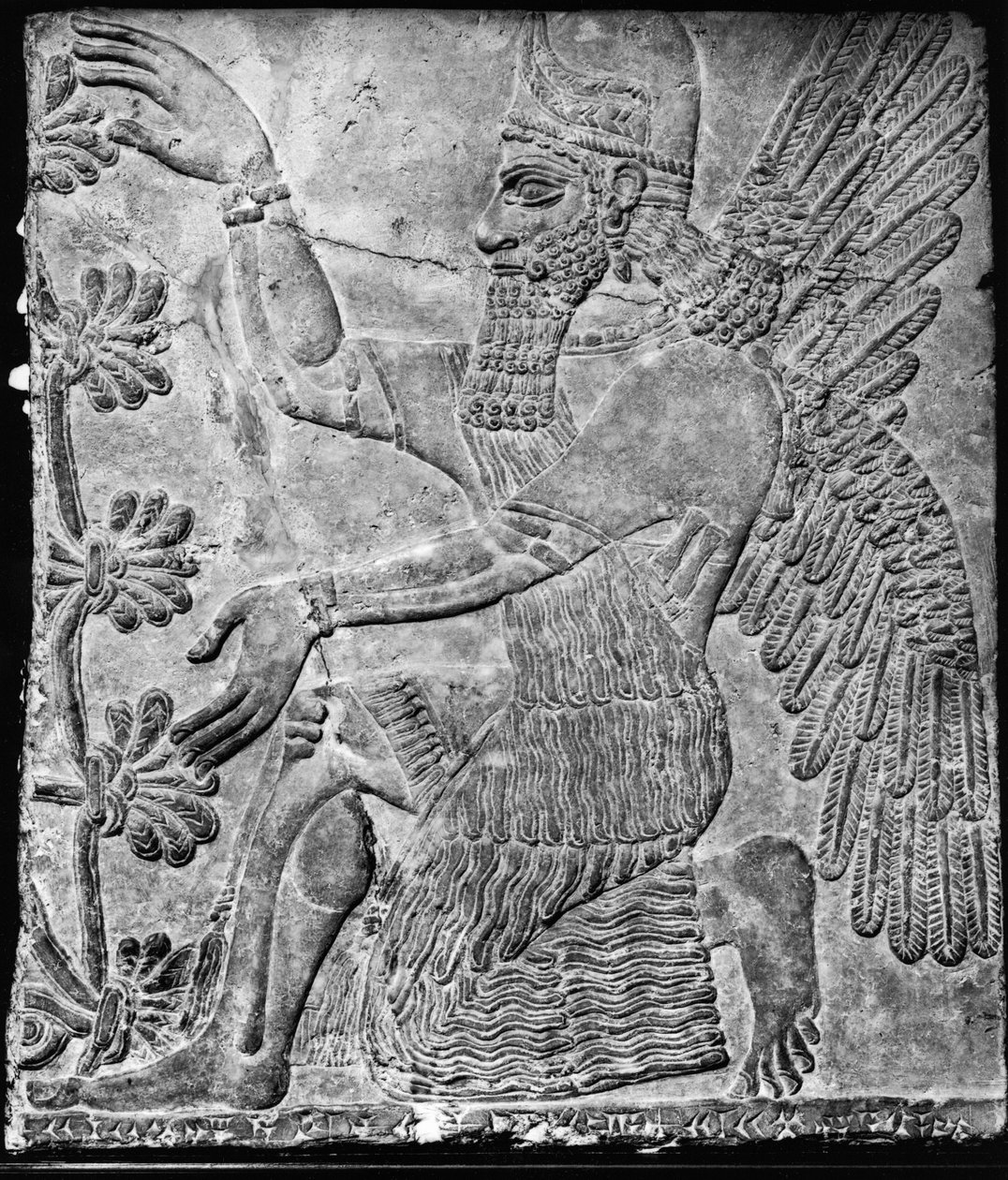 Winged Genie, der tilbeder det hellige træ, fra paladset ved Nimrud af Assyrian