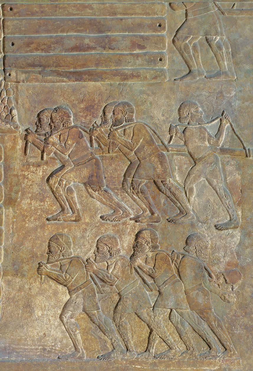 Detalje af et relief, der viser oplagringen af træ på kysten før transport til søs, fra Palace of Sargon II, Khorsabad, Irak af Assyrian