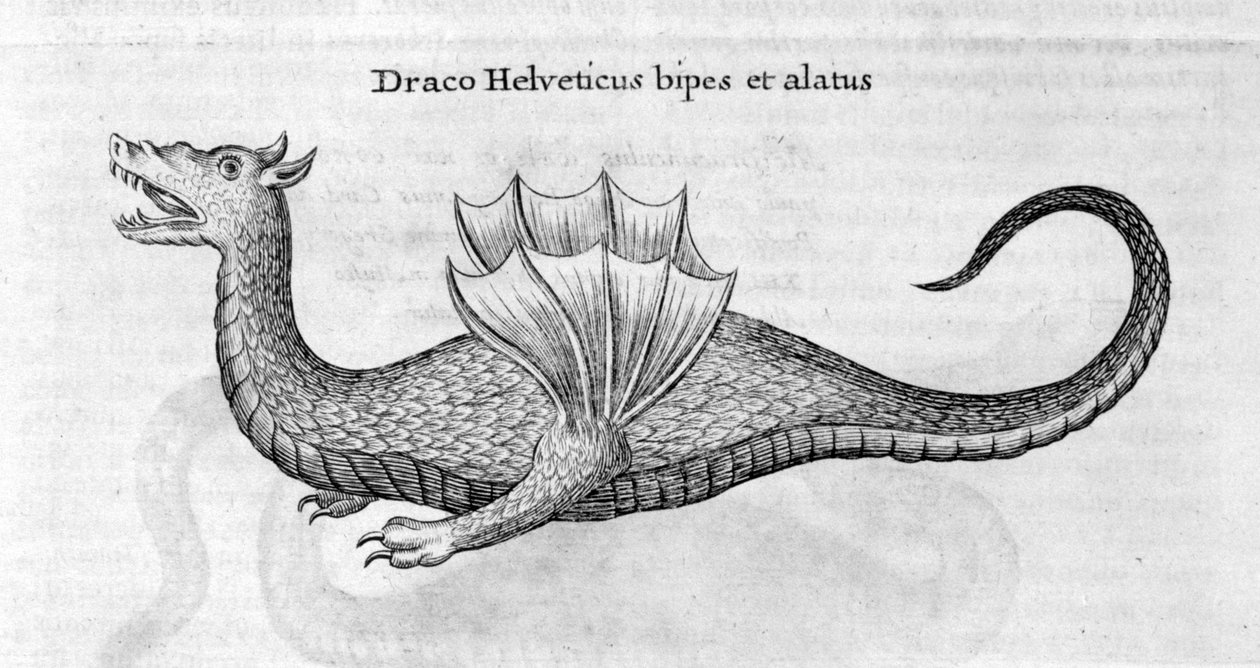 Drage, 1678 af Athanasius Kircher