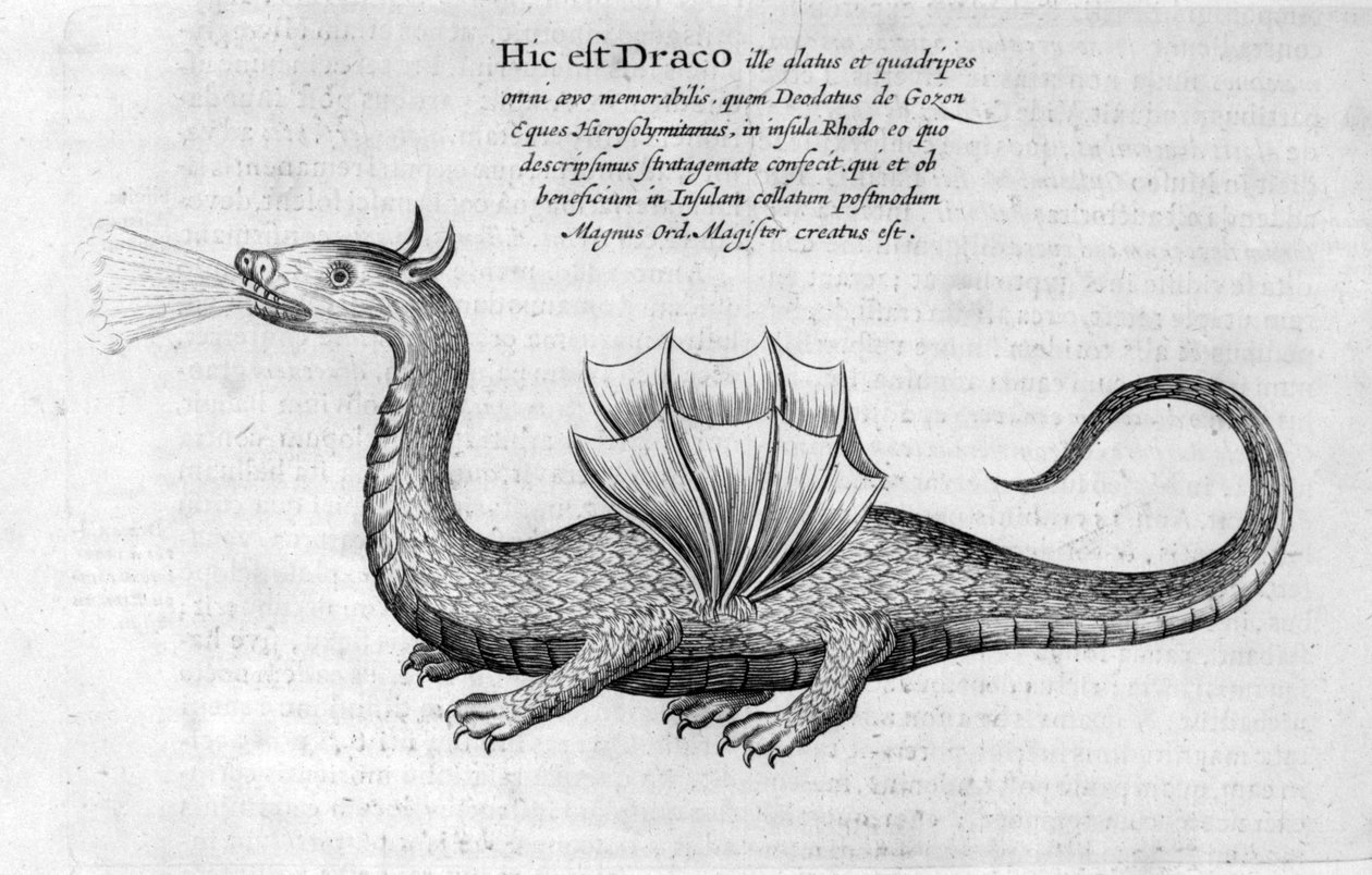 Drage, 1678 af Athanasius Kircher