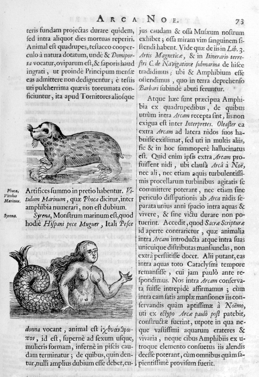 Mytiske skabninger, 1675. af Athanasius Kircher