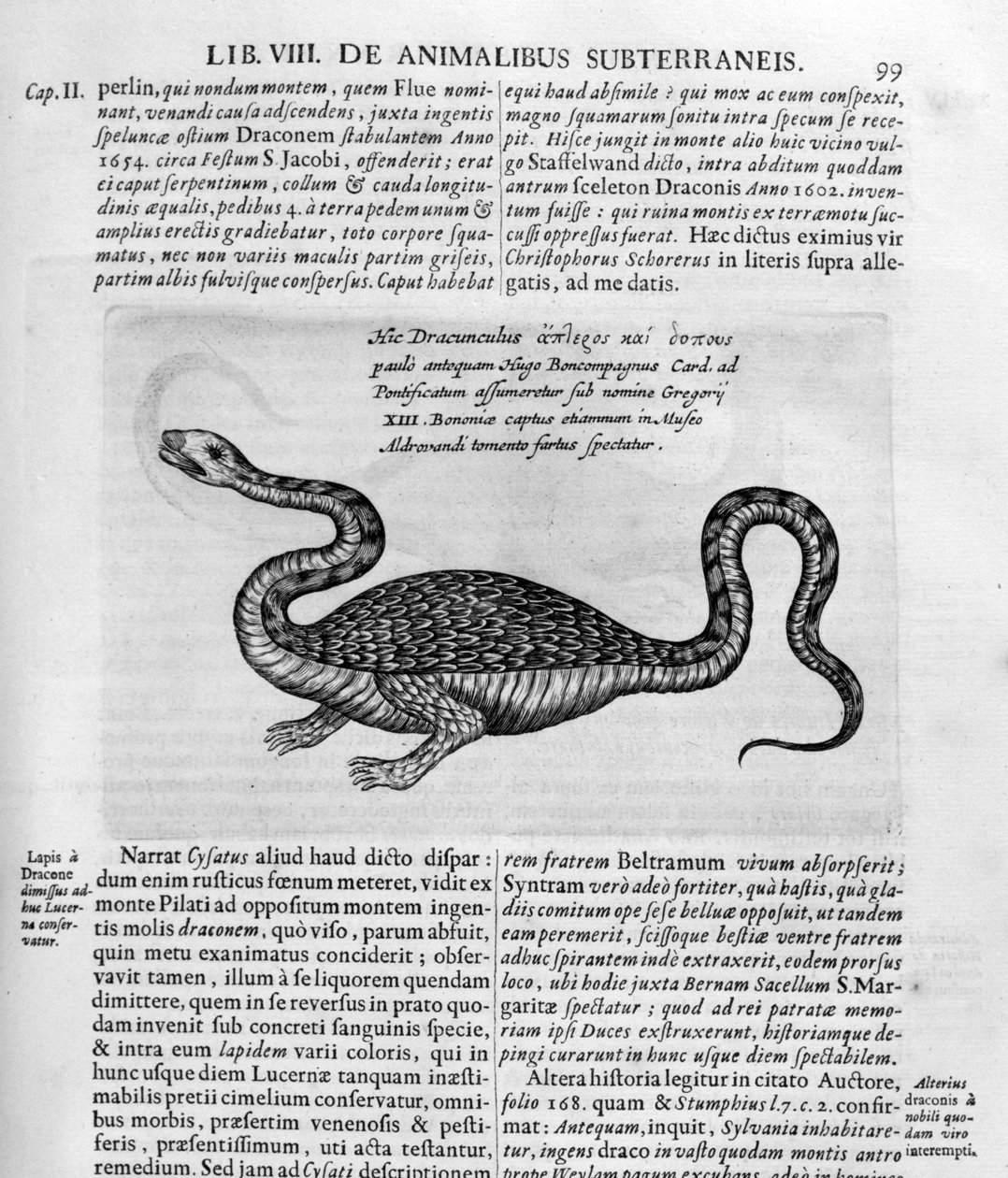Lille drage, 1678 af Athanasius Kircher