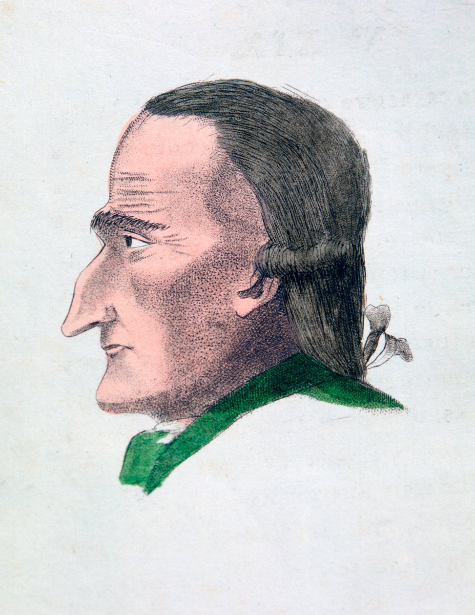En gniers ansigtsegenskaber, 1808 af Athanasius Kircher