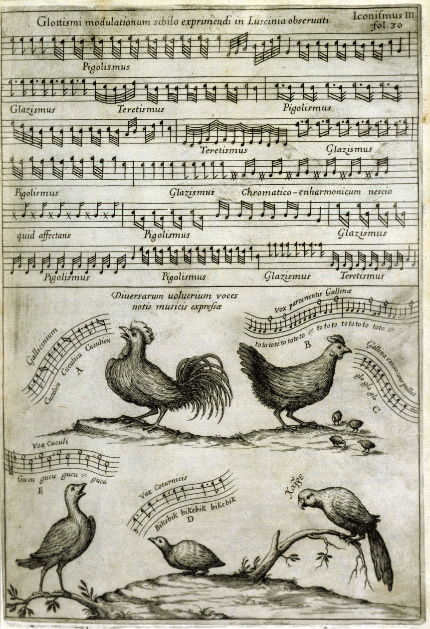 Sangen udsendt af visse flygtige stoffer udtrykt ved musikalske noder efter: "Musurgia Universalis" af Athanasius Kircher af Athanasius Kircher