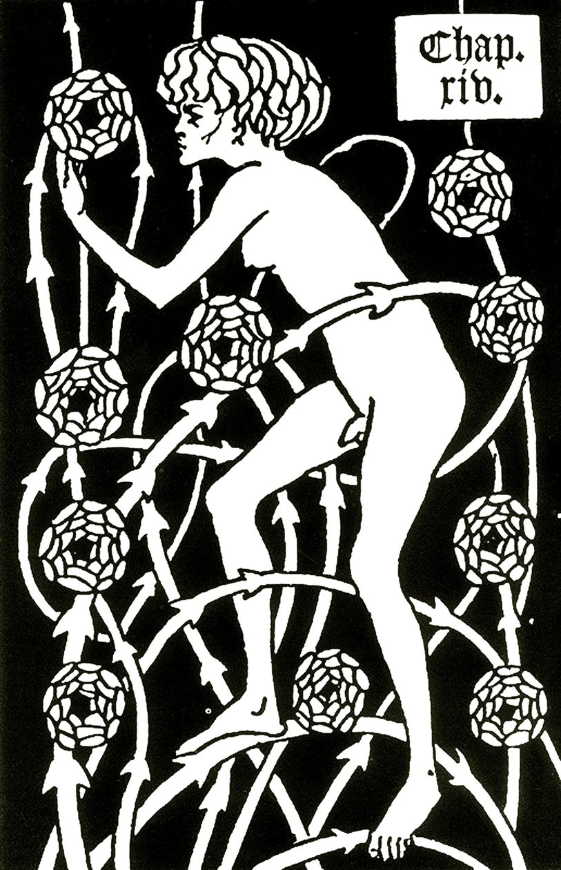hermafrodit blandt roserne fra Le morte d