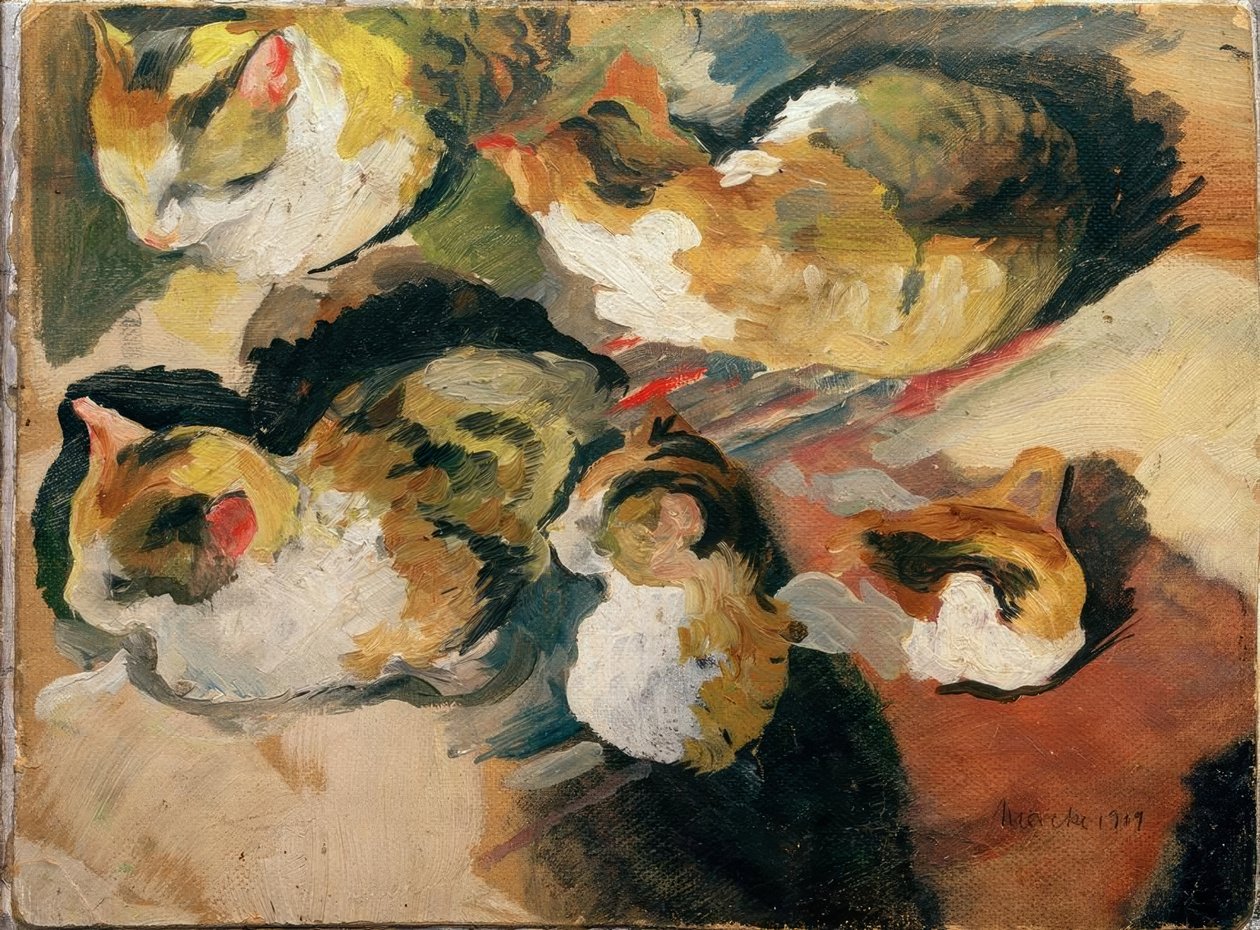Kattestudier af August Macke