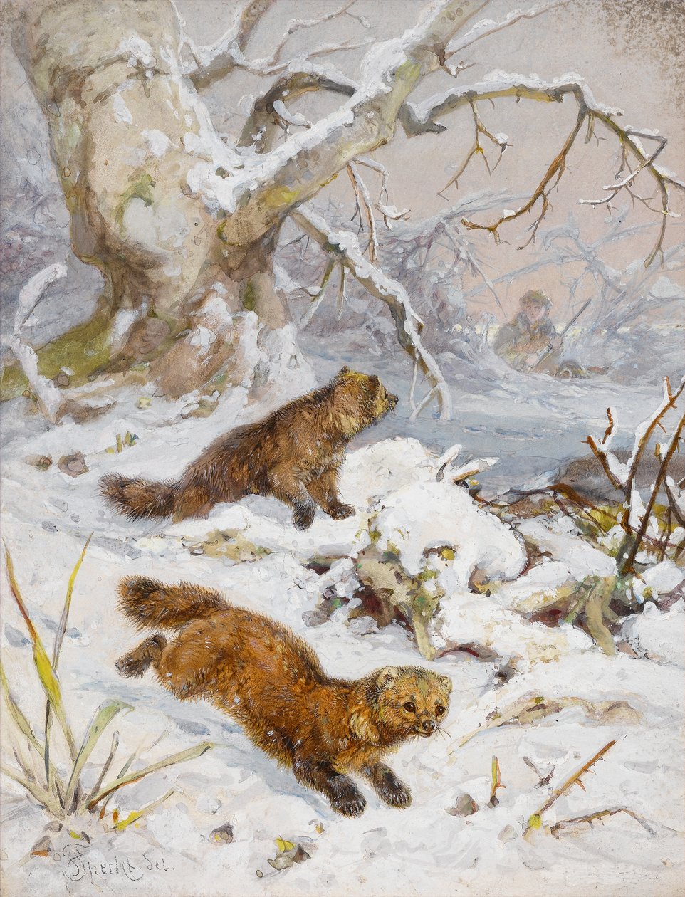 Wolverines in the Snow (wc på papir) af August Specht