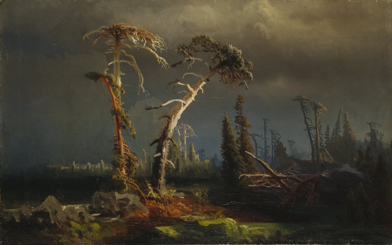Stigende storme - døende urskov i storme (olie på lærred) af August Cappelen