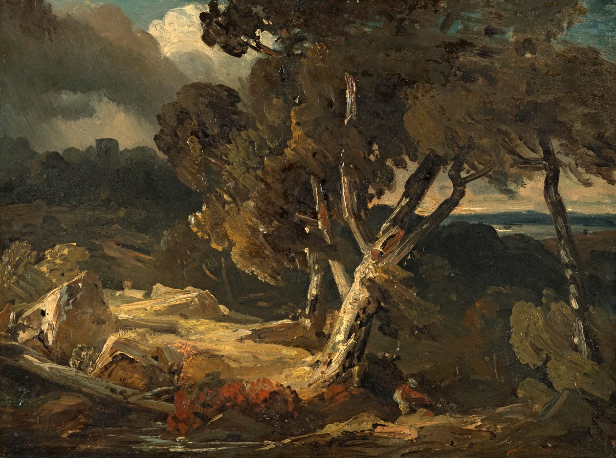 stormlandskab af August Seidel