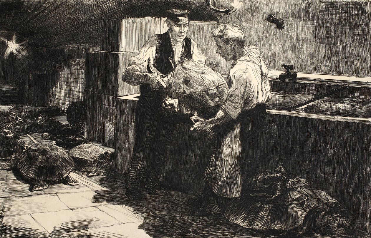 Illustration fra 