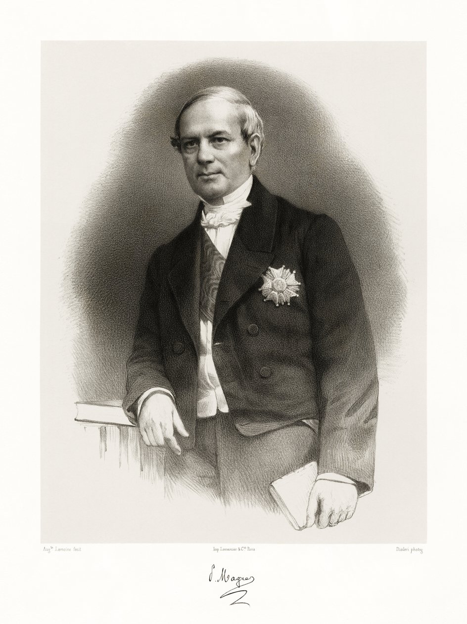 Pierre Magne, 1865-66 af Auguste Charles Lemoine