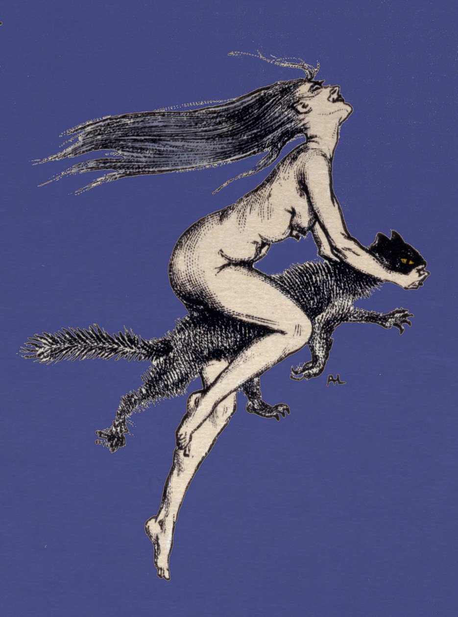 Illustration fra 