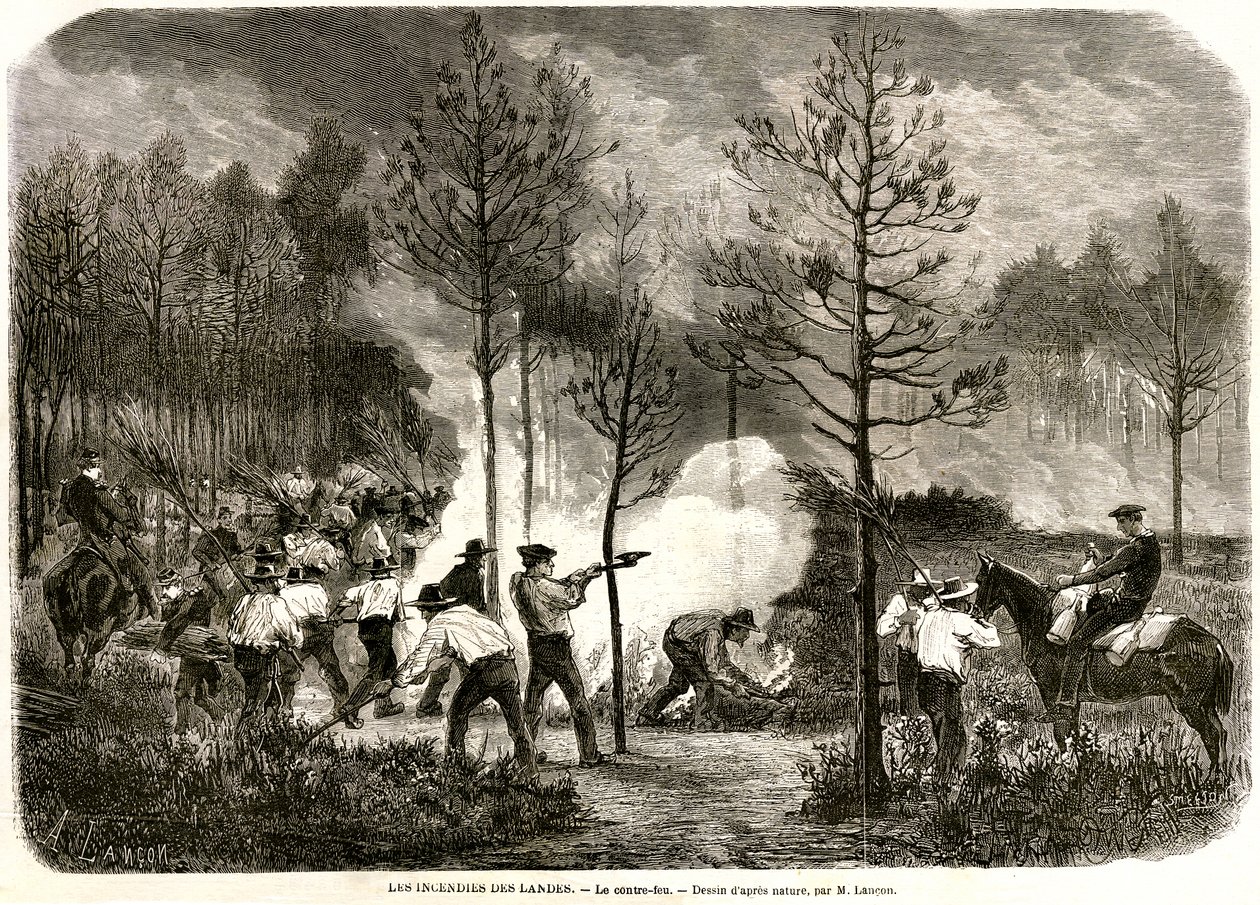 Landes store brand, modilden af Auguste Andre Lancon