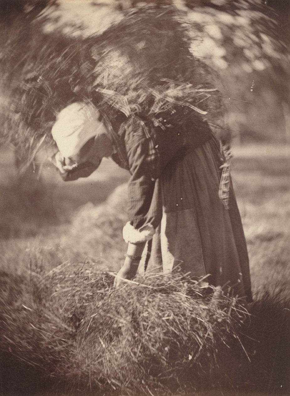 Bonde, ca. 1870. af Auguste Giraudon