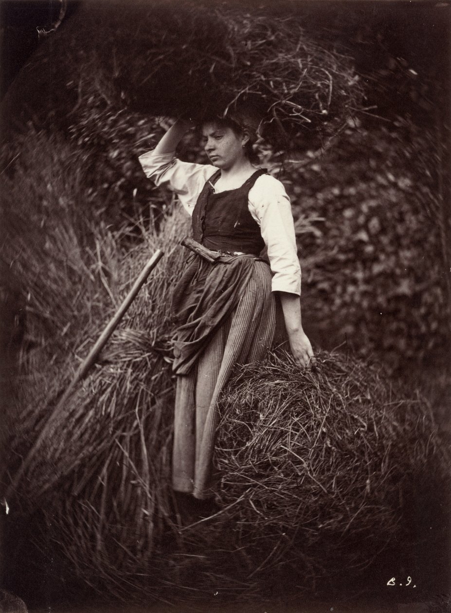Bonde, ca. 1870 (foto) af Auguste Giraudon