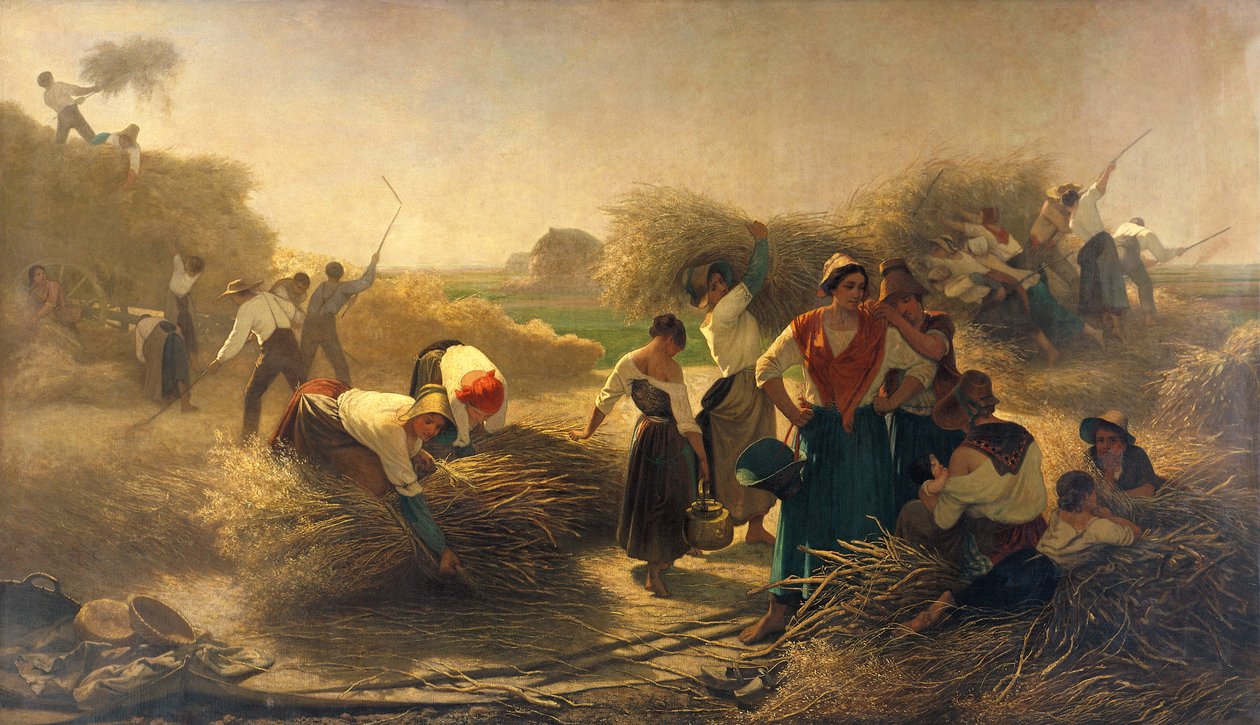 Tærskning af Raps på Markerne i Lille af Auguste Joseph Herlin