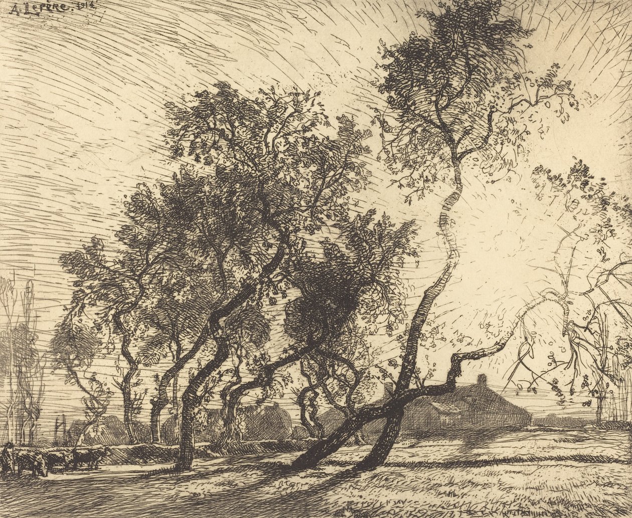 Den hollandske poppelfarm, 1914. af Auguste Lepere