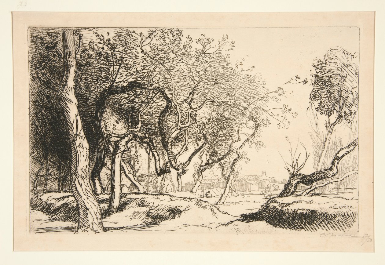 Snoede træer (Saint-Jean-de-Monts) af Auguste Lepere