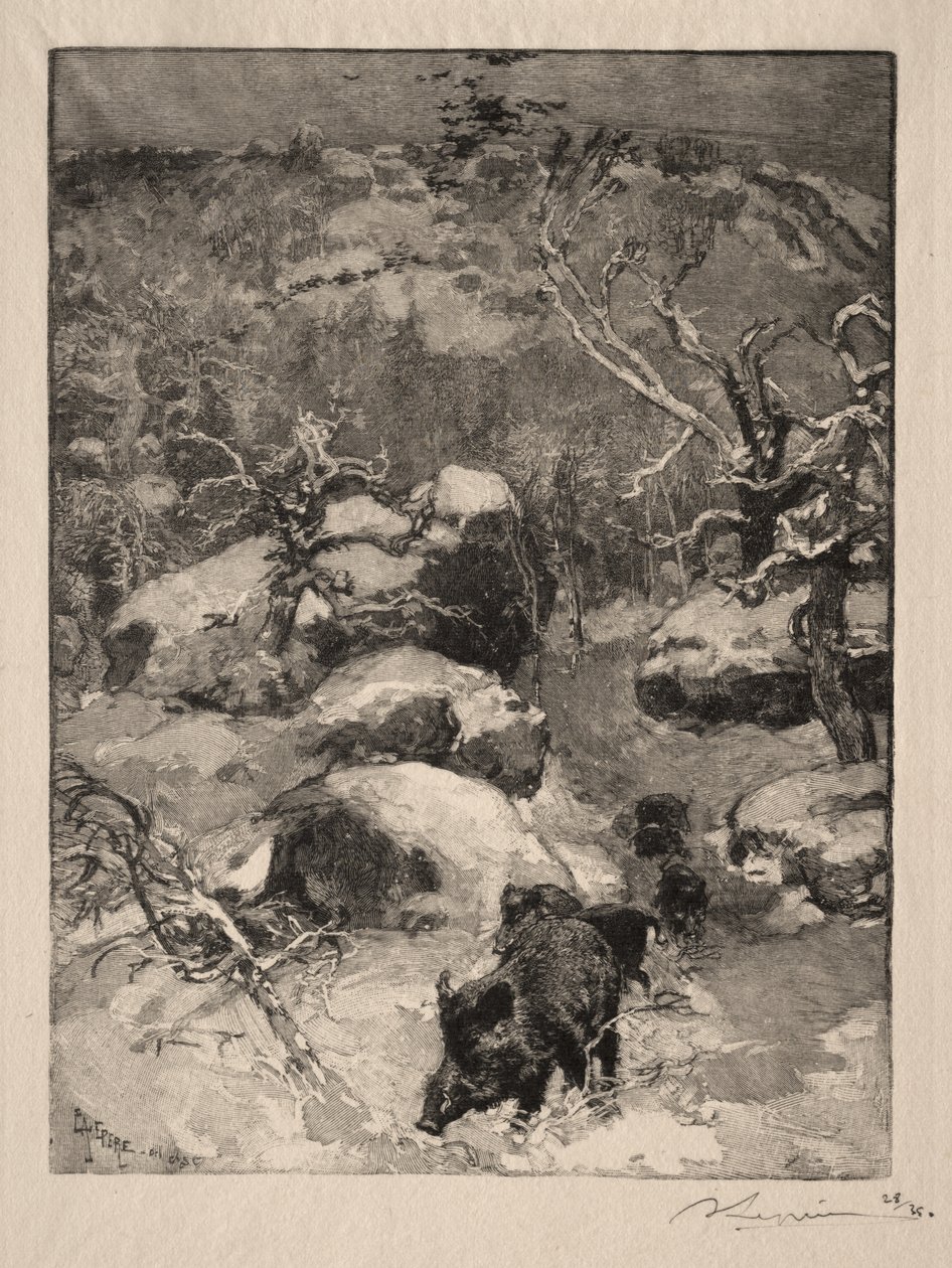 Roche Cuvier Chatillon af Auguste Louis Lepère
