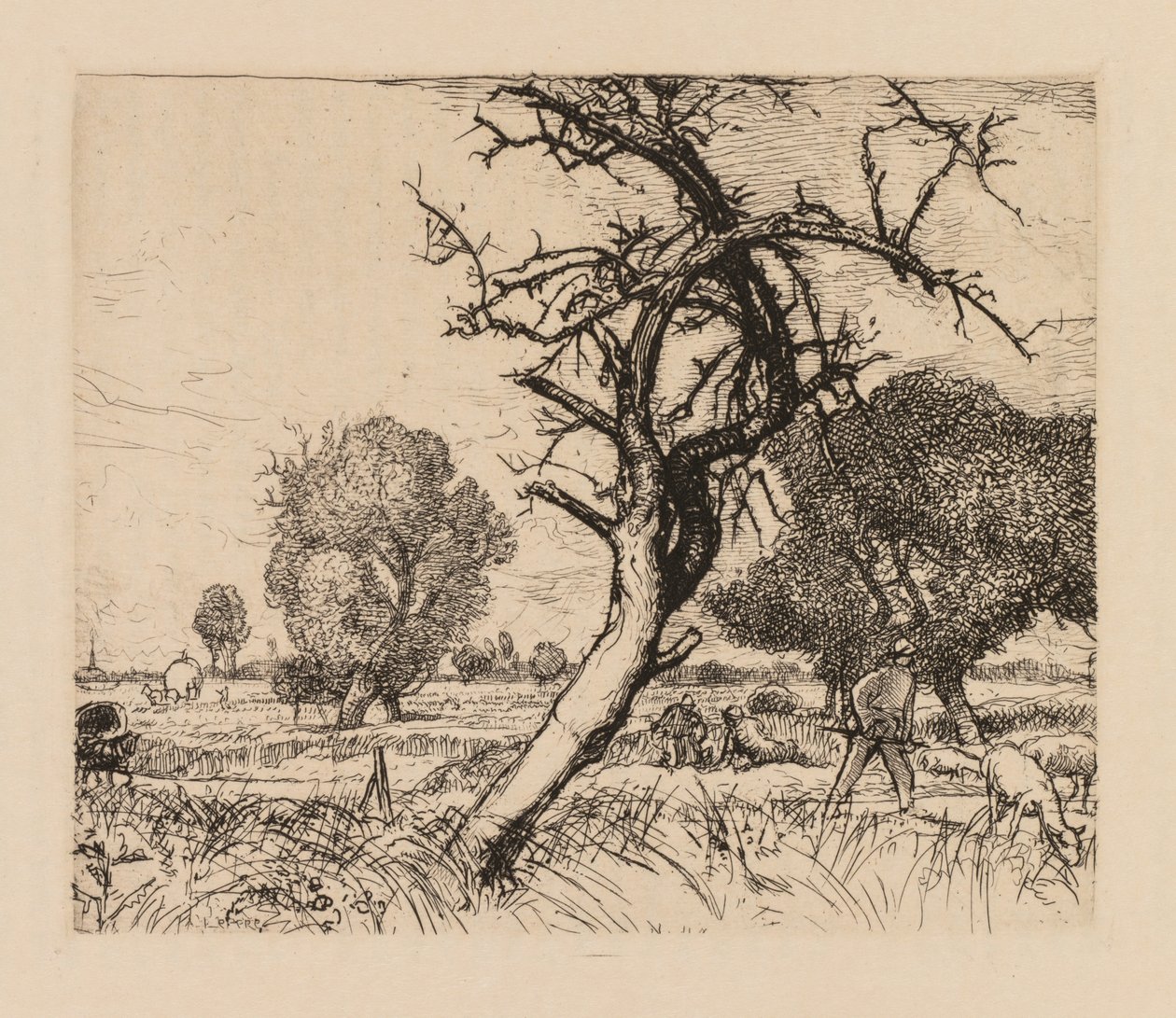 Auguste Lepère: Det døde æbletræ (Picardie) af Auguste Louis Lepère