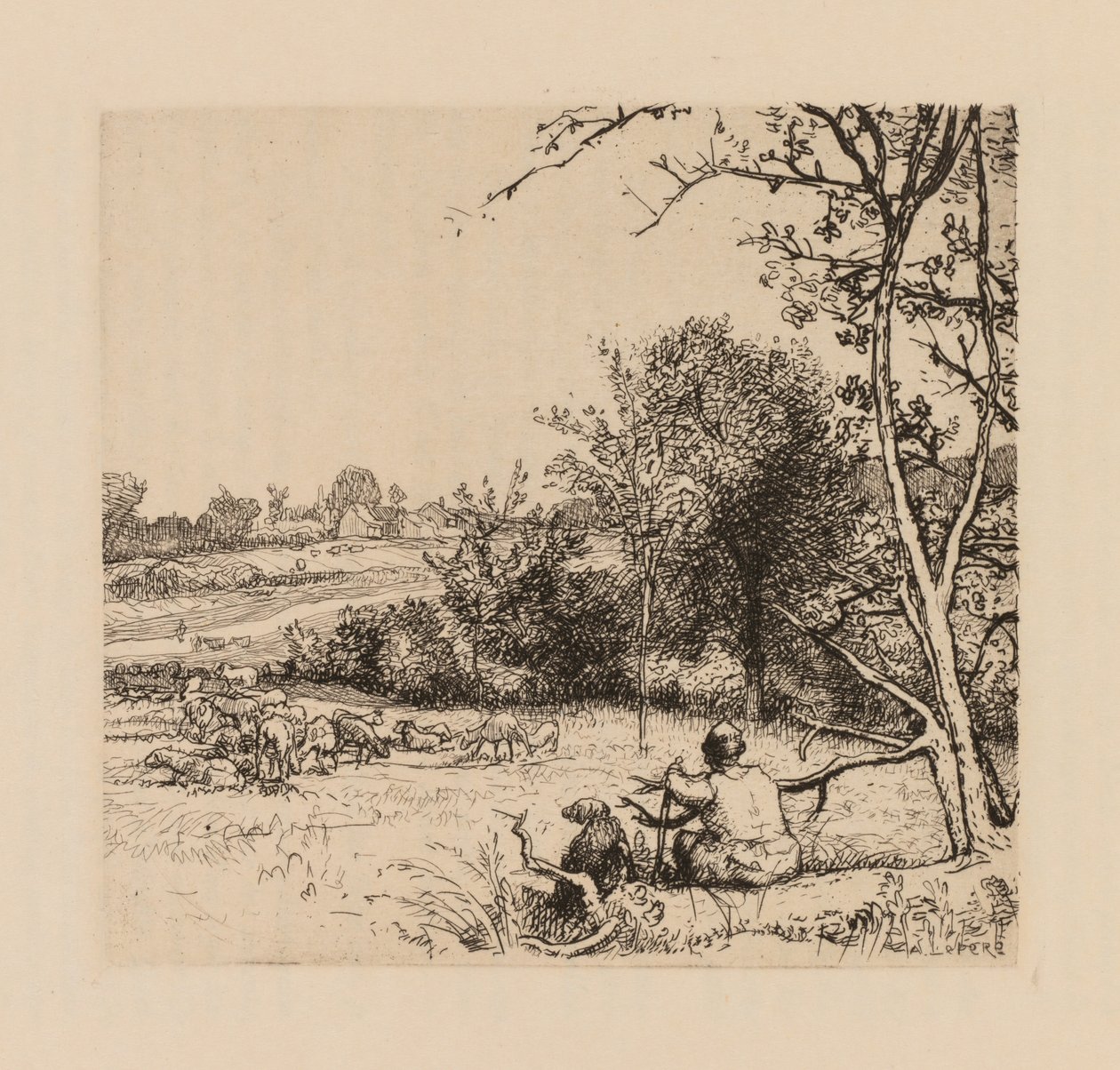 Auguste Lepère: Det væltede æbletræ (Picardie) af Auguste Louis Lepère