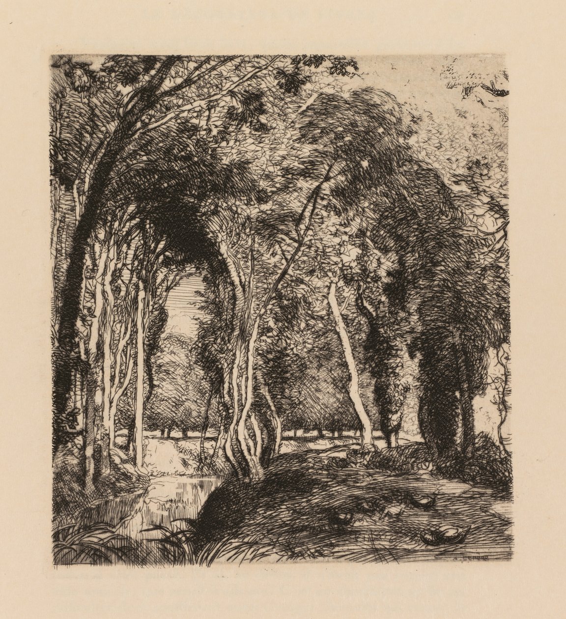 Auguste Lepère: Underskov, ved La Rigonette (Vendèe) af Auguste Louis Lepère