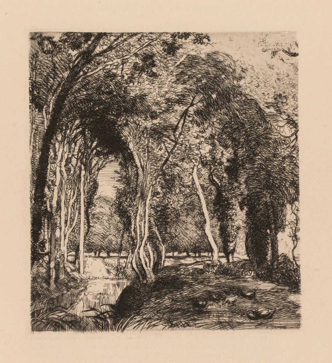 Auguste Lepère: Underskov, ved Rigonette Vendèe. af Auguste Louis Lepère