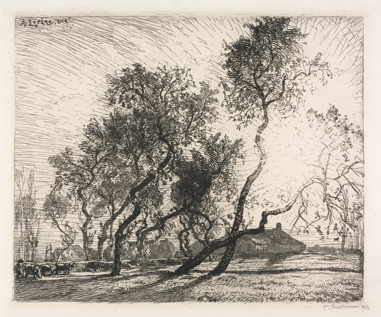 Gård med poppeltræer i Holland af Auguste Louis Lepère