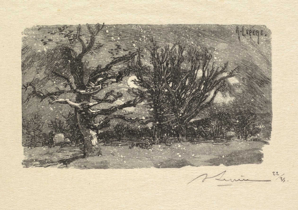 Fontainebleau Skov: På Lantaras sovesal La Forêt de Fontainebleau: På Lantaras sovesal, 1890 af Auguste Louis Lepère