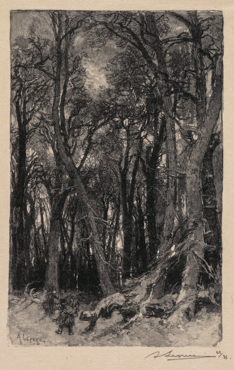 Fontainebleau Skov: Bas-Bréau (Skoven Fontainebleau: Bas-Bréau) af Auguste Louis Lepère
