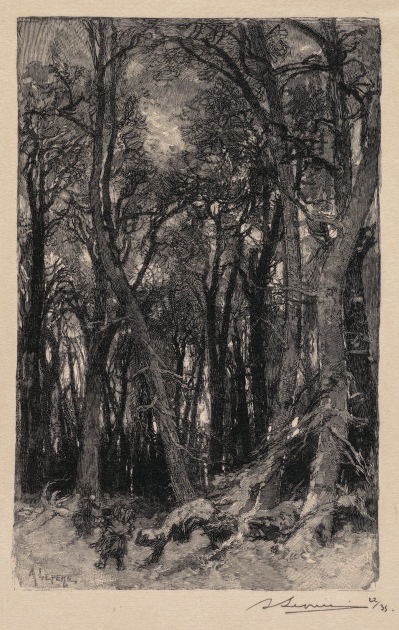 Fontainebleau-skoven: Bas-Bréau Fontainebleauskoven: Le Bas-Bréau, 1890. af Auguste Louis Lepère