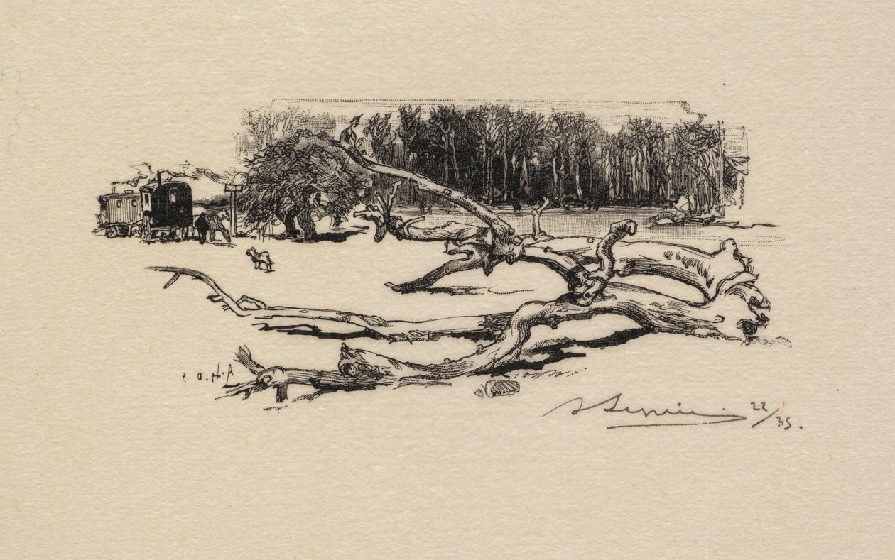 Fontainebleau Forest: Crossroads of the Thorn The Forest of Fontainebleau: Crossroads of the Thorn, 1890. af Auguste Louis Lepère