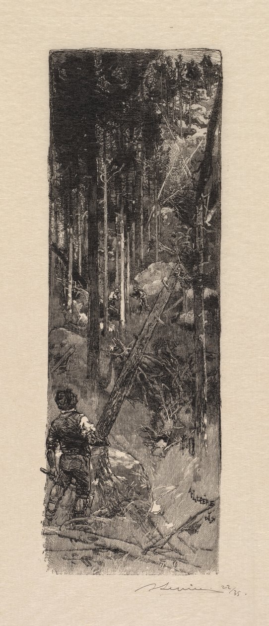 Fontainebleau Forest: Skæring af fyrretræer La Forêt de Fontainebleau: Abattage des pines, 1890. af Auguste Louis Lepère