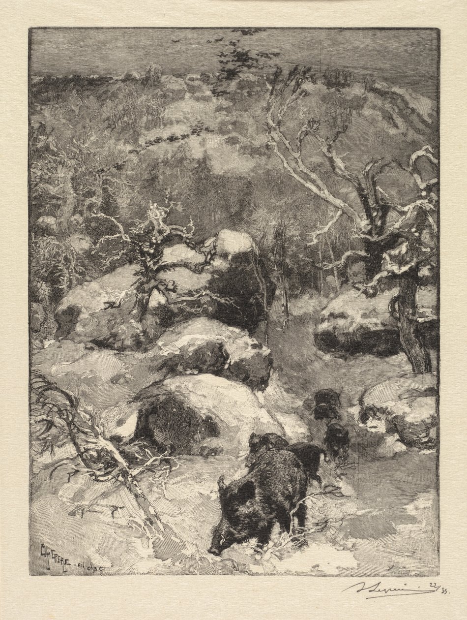 Fontainebleau Skov: Cuvier-Châtillon Cliff af Auguste Louis Lepère