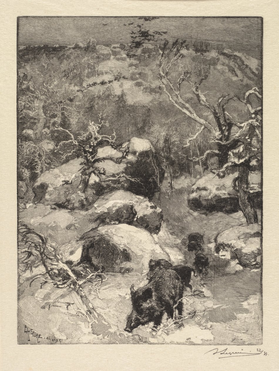 Fontainebleau-skoven: Cuvier-Châtillon-klippen Fontainebleauskoven: Roche Cuvier-Châtillon, 18 af Auguste Louis Lepère