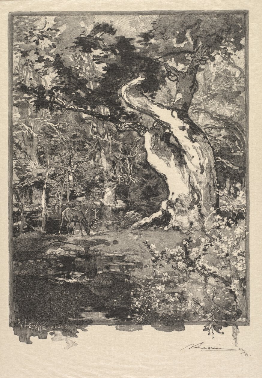 Fontainebleau-skoven: Le Clovis, Plateau de Bellecroix Fontainebleau-skoven..., 1890. af Auguste Louis Lepère