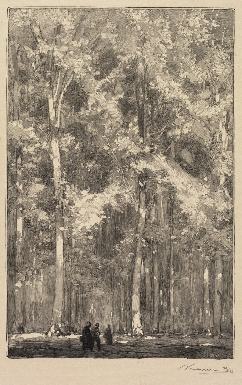 Fontainebleau-skoven: Morgen, korsvej mellem Forts de Marlotte-ruten..., 1890. af Auguste Louis Lepère