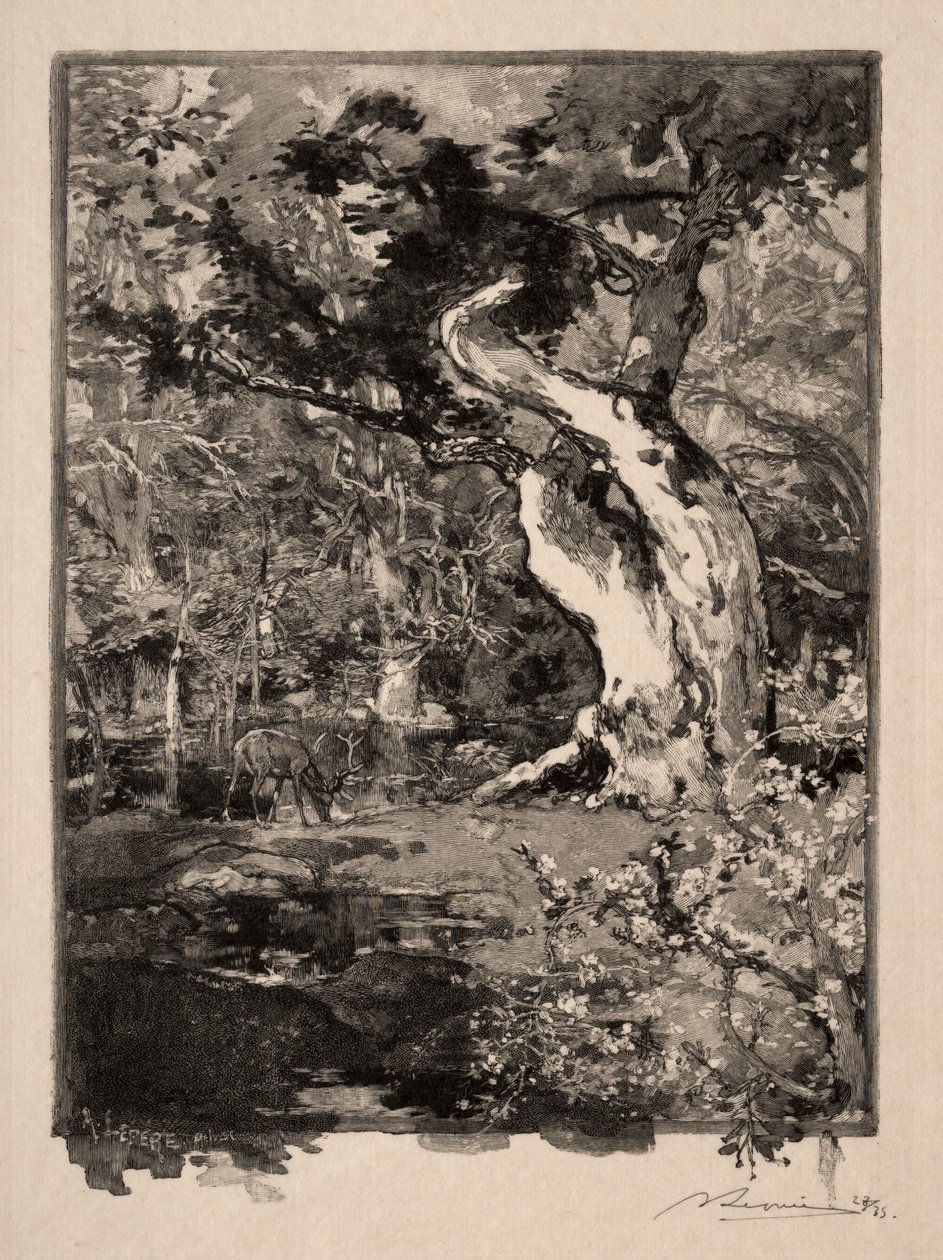 Le Clovis, Plateau de Bellecroix af Auguste Louis Lepère