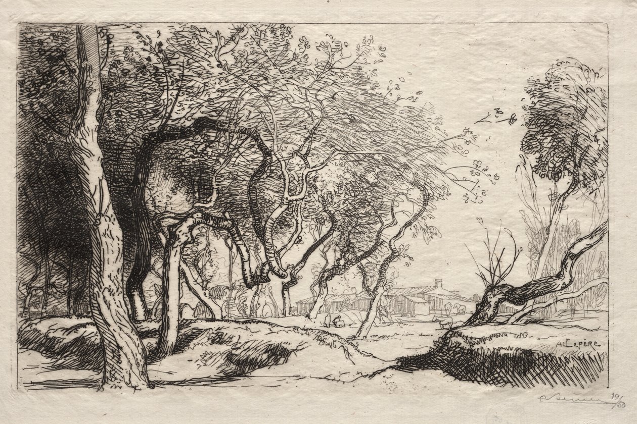Det snoede træ af Auguste Louis Lepère