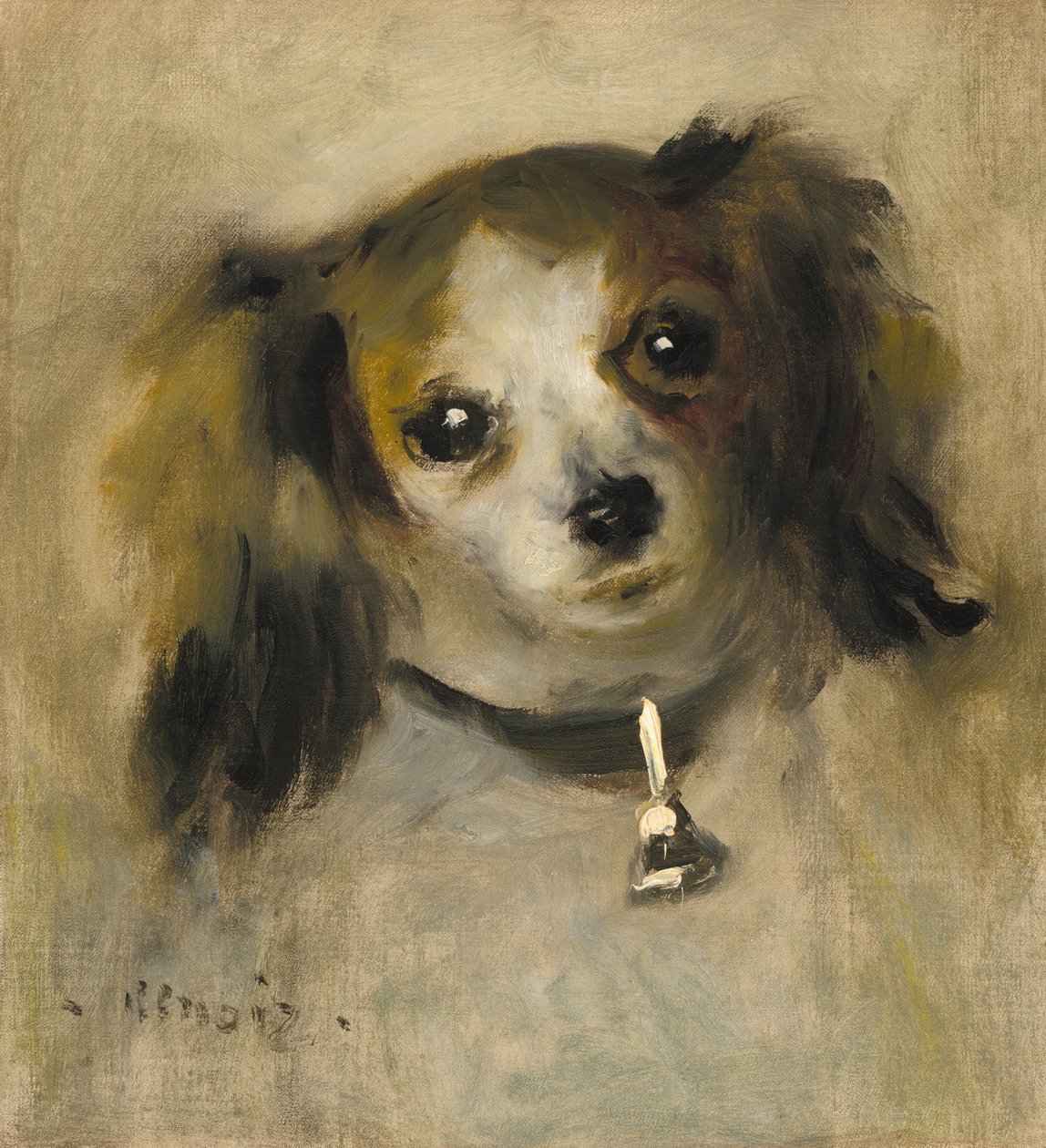 Hoved af en hund af Auguste Renoir