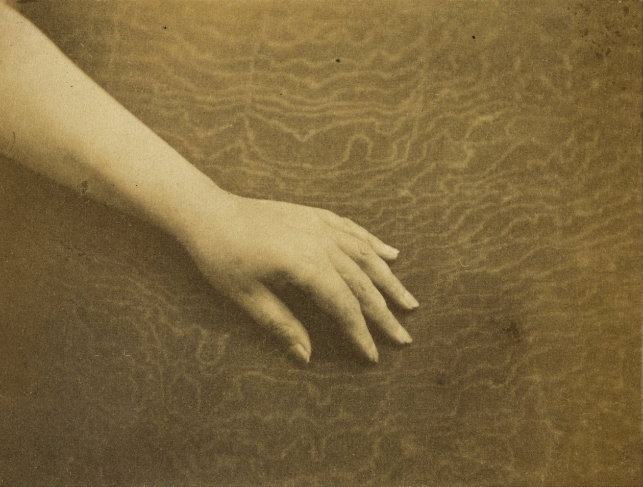 Madame Hugos hånd af Auguste Vacquerie