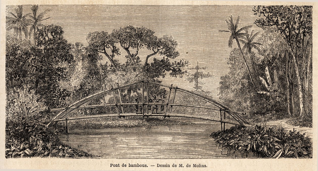 En bambusbro i junglen nær Salak-bjerget. Tegning af M. de Molins, for at illustrere hans rejse til Java af Auguste de Molins