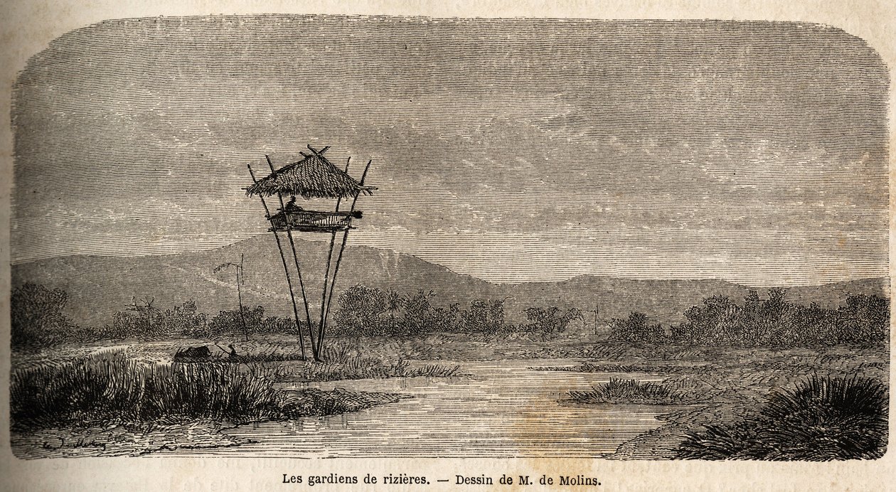 En risvagt nær Batavia (det nuværende Jakarta). Tegning af M. de Molins, for at illustrere hans rejse til Java af Auguste de Molins